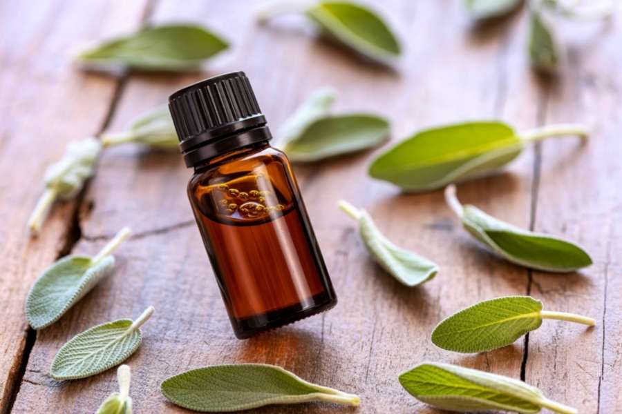 Amber essential oil bottle surrounded by fresh sage leaves for essential oil blending